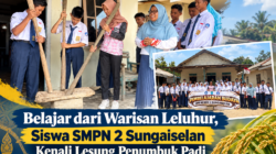 Belajar dari Warisan Leluhur, Siswa SMPN 2 Sungaiselan Kenali Lesung Penumbuk Padi